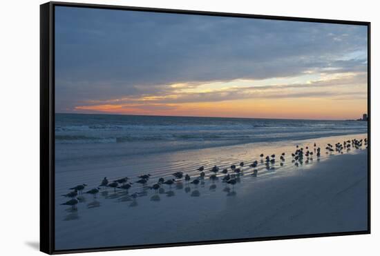 Cloudy Sunset on Crescent Beach, Siesta Key, Sarasota, Florida, USA-Bernard Friel-Framed Stretched Canvas