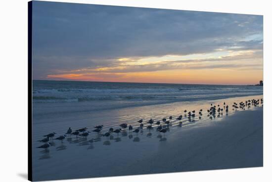 Cloudy Sunset on Crescent Beach, Siesta Key, Sarasota, Florida, USA-Bernard Friel-Stretched Canvas