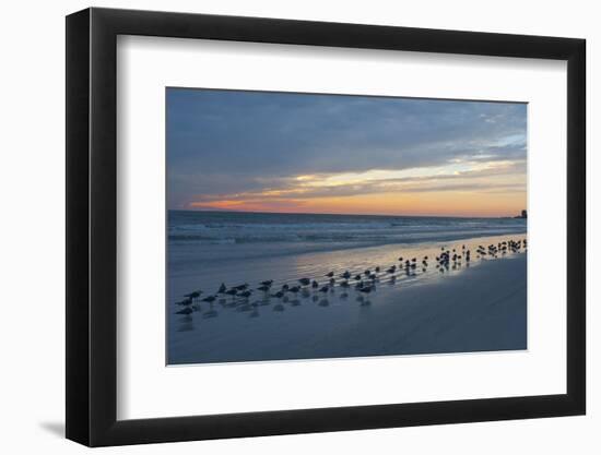 Cloudy Sunset on Crescent Beach, Siesta Key, Sarasota, Florida, USA-Bernard Friel-Framed Photographic Print