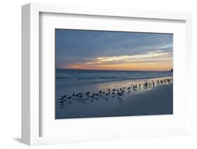 Cloudy Sunset on Crescent Beach, Siesta Key, Sarasota, Florida, USA-Bernard Friel-Framed Photographic Print