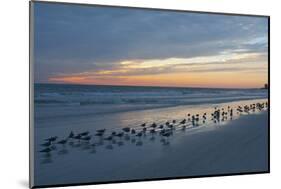 Cloudy Sunset on Crescent Beach, Siesta Key, Sarasota, Florida, USA-Bernard Friel-Mounted Photographic Print