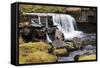 Clough Force on Grisedale Beck Near Garsdale Head-Mark-Framed Stretched Canvas