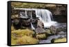 Clough Force on Grisedale Beck Near Garsdale Head-Mark-Framed Stretched Canvas