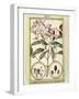 Clove (Caryophyllus Aromaticus), 1789-null-Framed Giclee Print