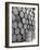 Clove Oil in Drums Ready For Exporting-Eliot Elisofon-Framed Photographic Print