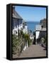 Clovelly, Devon, England, United Kingdom, Europe-Jeremy Lightfoot-Framed Stretched Canvas