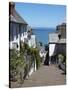 Clovelly, Devon, England, United Kingdom, Europe-Jeremy Lightfoot-Stretched Canvas