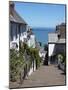 Clovelly, Devon, England, United Kingdom, Europe-Jeremy Lightfoot-Mounted Photographic Print