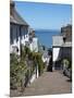 Clovelly, Devon, England, United Kingdom, Europe-Jeremy Lightfoot-Mounted Photographic Print