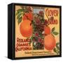 Clover Brand - Redlands, California - Citrus Crate Label-Lantern Press-Framed Stretched Canvas