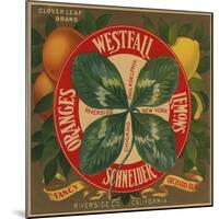 Clover Leaf Brand - Riverside, California - Citrus Crate Label-Lantern Press-Mounted Art Print