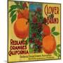 Clover Orange Label - Redlands, CA-Lantern Press-Mounted Art Print