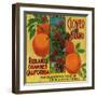 Clover Orange Label - Redlands, CA-Lantern Press-Framed Art Print