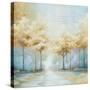 Stretched Canvas