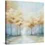 Stretched Canvas