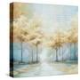 Stretched Canvas