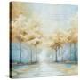 Stretched Canvas