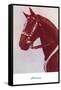 Cloverman, Bay Horse with Silver Bridle-null-Framed Stretched Canvas