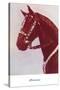 Cloverman, Bay Horse with Silver Bridle-null-Stretched Canvas