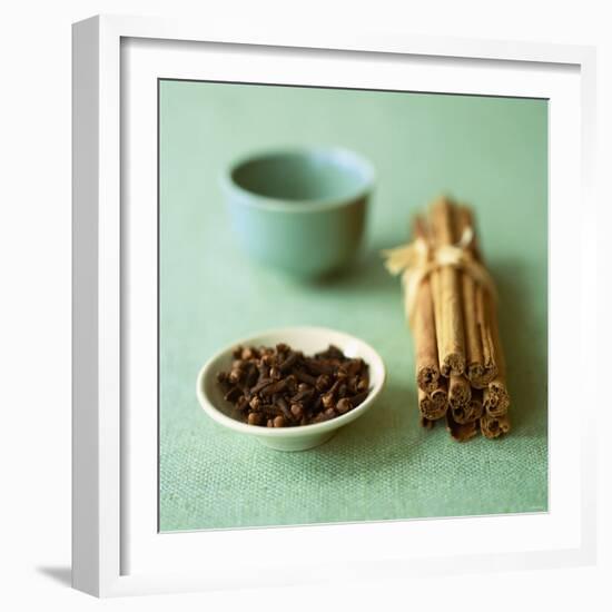 Cloves and Cinnamon Sticks-Michael Paul-Framed Photographic Print