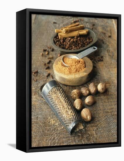 Cloves, Nutmeg, Cinnamon (Ground, Grated and Whole)-Philip Webb-Framed Stretched Canvas