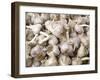 Cloves of Garlic for Sale in Market, Nazareth, Israel-Merrill Images-Framed Photographic Print