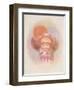 Clown and Balloons-Philippe Alfieri-Framed Collectable Print