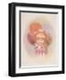 Clown and Balloons-Philippe Alfieri-Framed Collectable Print