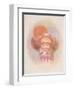 Clown and Balloons-Philippe Alfieri-Framed Collectable Print