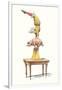 Clown Balancing on Pig-null-Framed Art Print