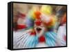 Clown Celebrates During a Colourful Historical Carnival Procession in Wasungen, Germany-null-Framed Stretched Canvas