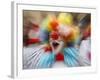 Clown Celebrates During a Colourful Historical Carnival Procession in Wasungen, Germany-null-Framed Photographic Print