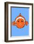 Clown Fish On Blue-null-Framed Giclee Print