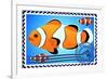 Clown Fish. Postage Stamp-GUARDING-OWO-Framed Premium Giclee Print