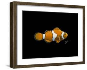 Clown Fish-Durwood Coffey-Framed Giclee Print