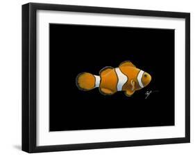 Clown Fish-Durwood Coffey-Framed Giclee Print