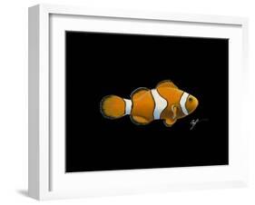 Clown Fish-Durwood Coffey-Framed Giclee Print