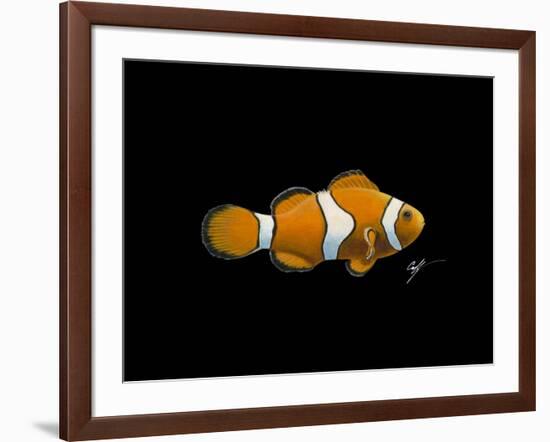 Clown Fish-Durwood Coffey-Framed Giclee Print