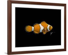 Clown Fish-Durwood Coffey-Framed Giclee Print