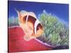 Clown Fish-Durwood Coffey-Stretched Canvas