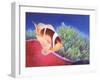 Clown Fish-Durwood Coffey-Framed Giclee Print