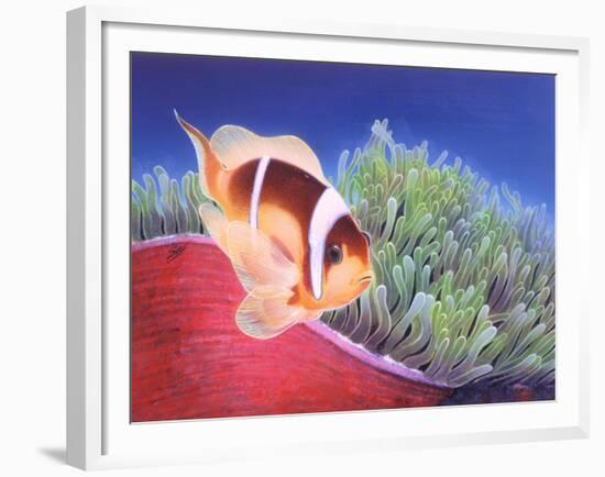 Clown Fish-Durwood Coffey-Framed Giclee Print