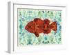 Clown Fish-Teofilo Olivieri-Framed Giclee Print