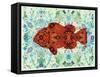 Clown Fish-Teofilo Olivieri-Framed Stretched Canvas