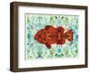 Clown Fish-Teofilo Olivieri-Framed Giclee Print