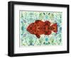 Clown Fish-Teofilo Olivieri-Framed Giclee Print