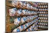 Clown Heads on Rack in Factory-null-Mounted Photographic Print