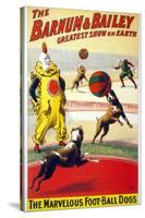 Clown Perform with the Marvelous Foot-Ball Dogs in the Barnum and Bailey Circus, 1900-null-Stretched Canvas