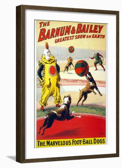 Clown Perform with the Marvelous Foot-Ball Dogs in the Barnum and Bailey Circus, 1900-null-Framed Art Print