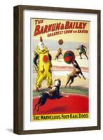 Clown Perform with the Marvelous Foot-Ball Dogs in the Barnum and Bailey Circus, 1900-null-Framed Art Print